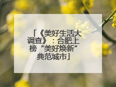 《美好生活大调查》：合肥上榜“美好焕新”典范城市