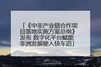 《中非产业链合作项目落地实施方案总纲》发布 数字化平台赋能非洲发展驶入快车道
