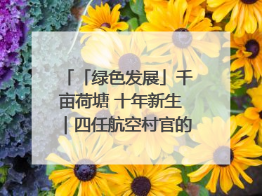 「绿色发展」千亩荷塘 十年新生｜四任航空村官的“生态接力”