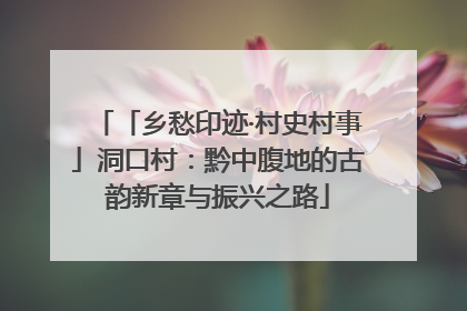 「乡愁印迹·村史村事」洞口村：黔中腹地的古韵新章与振兴之路