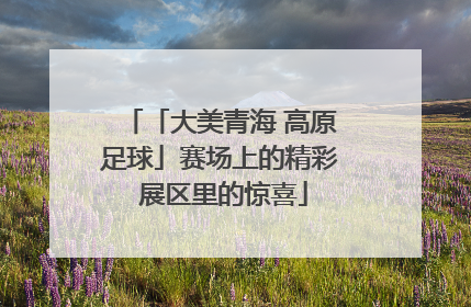 「大美青海 高原足球」赛场上的精彩 展区里的惊喜