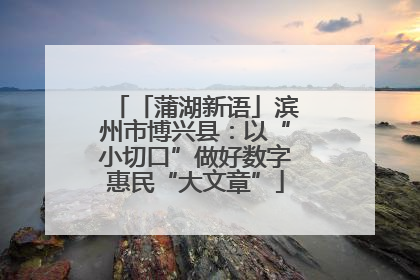 「蒲湖新语」滨州市博兴县：以“小切口”做好数字惠民“大文章”