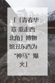 「青春华章·重走西北角」博物馆丑东西为“神马”爆火