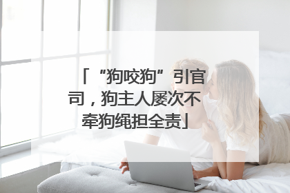 “狗咬狗”引官司，狗主人屡次不牵狗绳担全责
