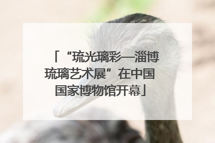 “琉光璃彩—淄博琉璃艺术展”在中国国家博物馆开幕