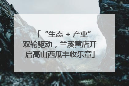 “生态 + 产业”双轮驱动，兰溪黄店开启高山西瓜丰收乐章