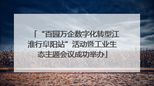 “百园万企数字化转型江淮行阜阳站”活动暨工业生态主题会议成功举办