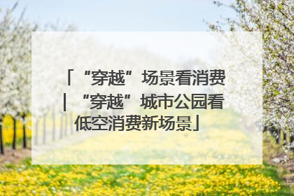 “穿越”场景看消费｜“穿越”城市公园看低空消费新场景