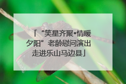“笑星齐聚•情暖夕阳”老龄慰问演出走进乐山马边县