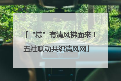 “粽”有清风拂面来！五社联动共织清风网