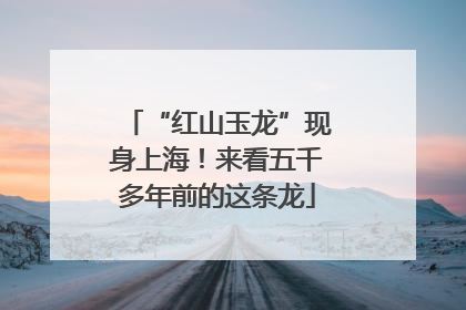 “红山玉龙”现身上海！来看五千多年前的这条龙