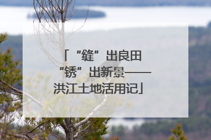 “缝”出良田 “锈”出新景——洪江土地活用记