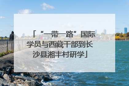 “一带一路”国际学员与西藏干部到长沙县湘丰村研学
