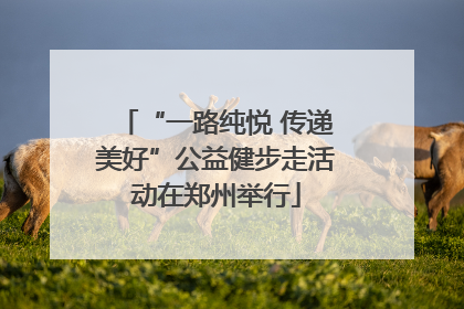 “一路纯悦 传递美好”公益健步走活动在郑州举行