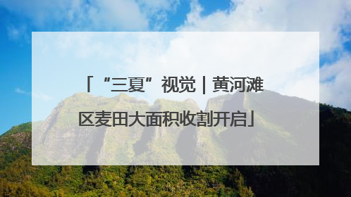 “三夏”视觉｜黄河滩区麦田大面积收割开启