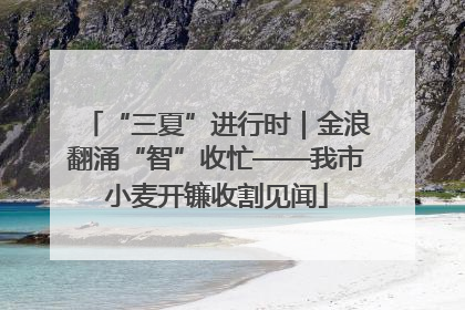 “三夏”进行时｜金浪翻涌“智”收忙——我市小麦开镰收割见闻