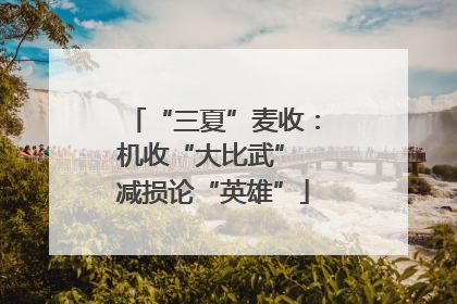 “三夏”麦收：机收“大比武” 减损论“英雄”