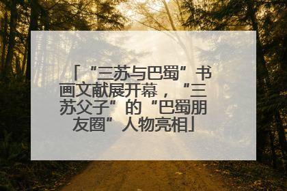 “三苏与巴蜀”书画文献展开幕，“三苏父子”的“巴蜀朋友圈”人物亮相