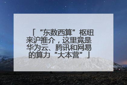 “东数西算”枢纽来沪推介，这里竟是华为云、腾讯和网易的算力“大本营”