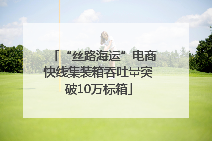 “丝路海运”电商快线集装箱吞吐量突破10万标箱