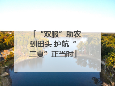“双服”助农到田头 护航“三夏”正当时