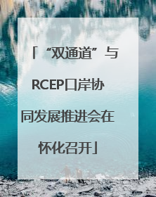 “双通道”与RCEP口岸协同发展推进会在怀化召开