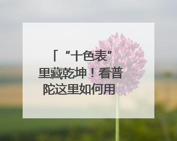 “十色表” 里藏乾坤！看普陀这里如何用 “绣花功夫” 织就社区治理