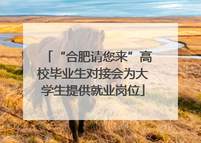 “合肥请您来”高校毕业生对接会为大学生提供就业岗位