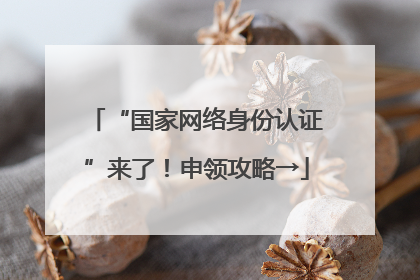 “国家网络身份认证”来了！申领攻略→