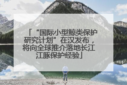“国际小型鲸类保护研究计划”在汉发布，将向全球推介落地长江江豚保护经验