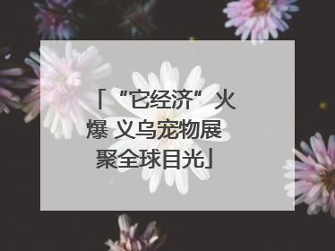 “它经济”火爆 义乌宠物展聚全球目光