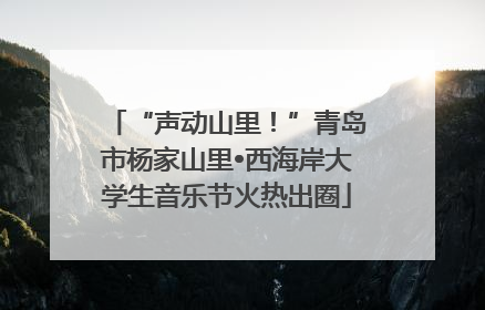 “声动山里！”青岛市杨家山里•西海岸大学生音乐节火热出圈