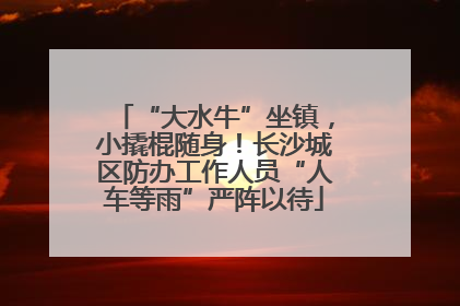 “大水牛”坐镇，小撬棍随身！长沙城区防办工作人员“人车等雨”严阵以待
