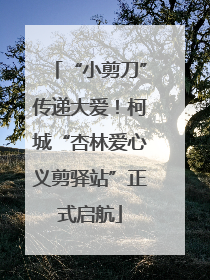 “小剪刀”传递大爱！柯城“杏林爱心义剪驿站”正式启航