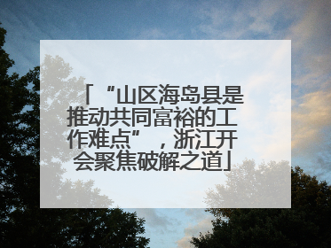 “山区海岛县是推动共同富裕的工作难点”，浙江开会聚焦破解之道