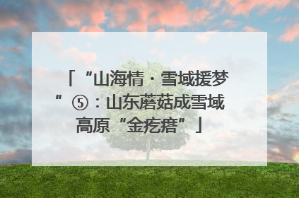 “山海情・雪域援梦”⑤：山东蘑菇成雪域高原“金疙瘩”