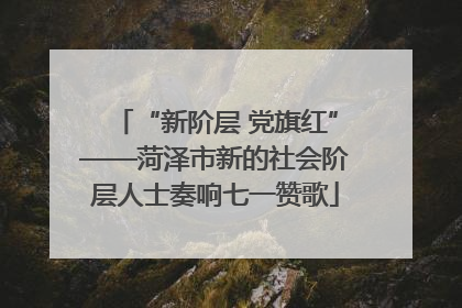 “新阶层 党旗红”——菏泽市新的社会阶层人士奏响七一赞歌