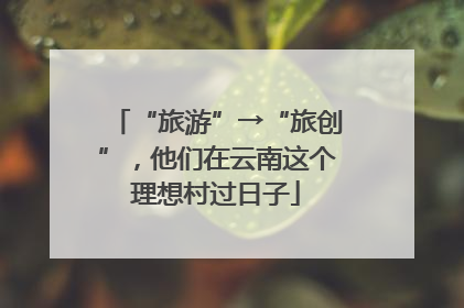 “旅游”→“旅创”，他们在云南这个理想村过日子