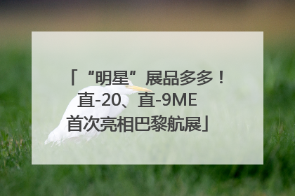 “明星”展品多多！直-20、直-9ME首次亮相巴黎航展