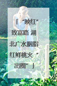 “映红”致富路 湖北广水胭脂红鲜桃火“出圈”