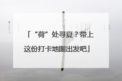 “荷”处寻夏？带上这份打卡地图出发吧