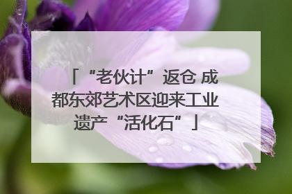 “老伙计”返仓 成都东郊艺术区迎来工业遗产“活化石”