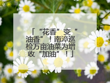 “花香”变“油香”！南漳巡检万亩油菜为增收“加油”！