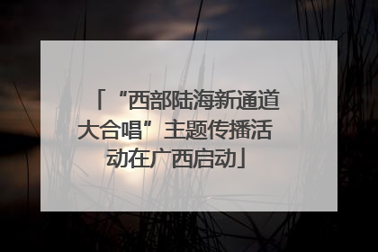 “西部陆海新通道大合唱”主题传播活动在广西启动