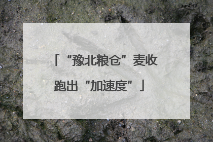 “豫北粮仓”麦收跑出“加速度”