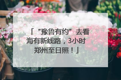 “豫鲁有约”去看海有新线路，3小时郑州至日照！