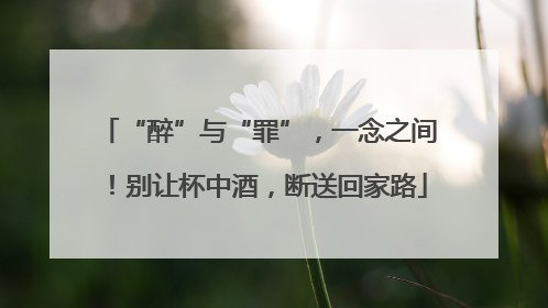 “醉”与“罪”，一念之间！别让杯中酒，断送回家路