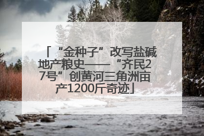“金种子”改写盐碱地产粮史——“齐民27号”创黄河三角洲亩产1200斤奇迹