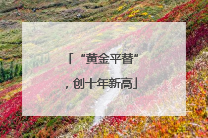 “黄金平替”，创十年新高