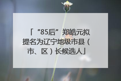 “85后”郑皓元拟提名为辽宁地级市县（市、区）长候选人